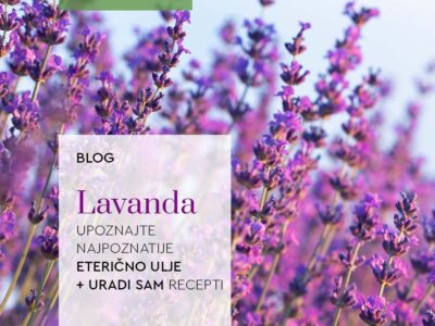 blog_lavanda